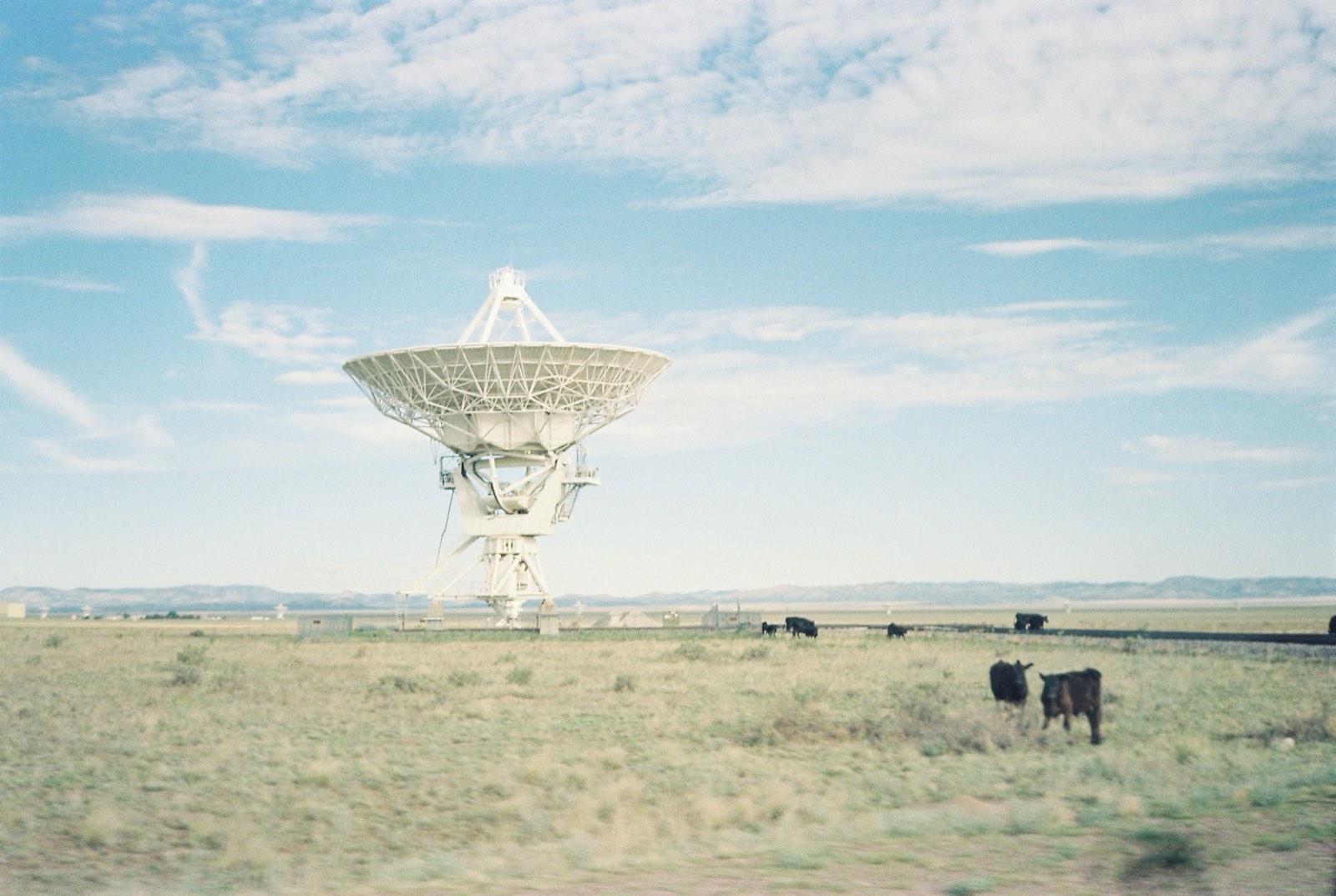 Radio telescope dishes of the Very Large Array