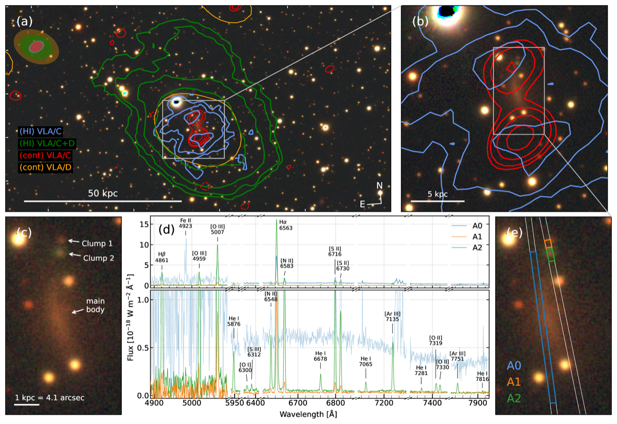 HI moment-0 and moment-1 maps of LEDA 136976 overlaid with optical and H-alpha imaging, highlighting two star-forming clumps and a disturbed northern HI component
